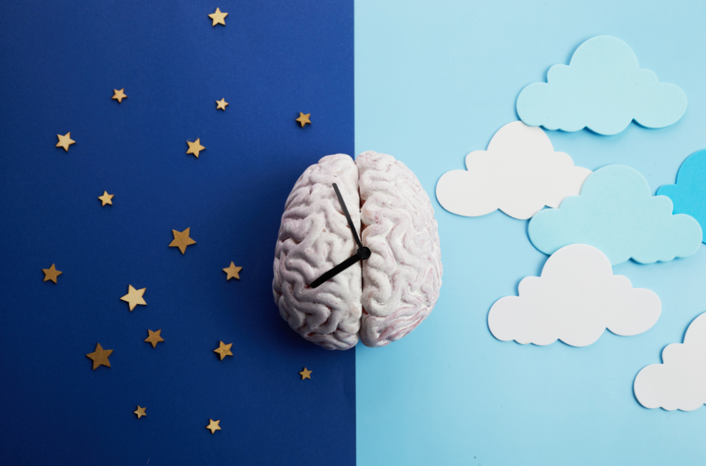 Five Ways Sleep Enhances Memory Retention