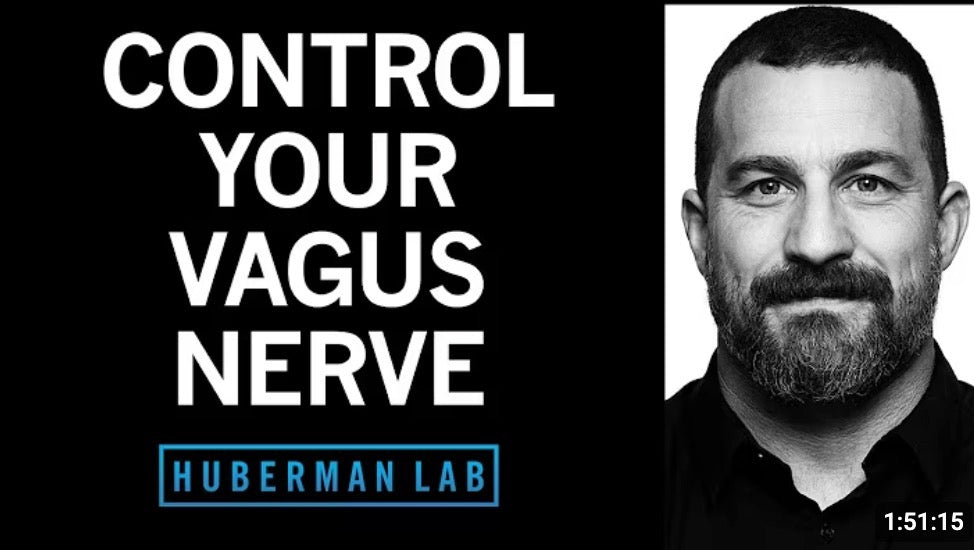 About Your Vagus Nerve