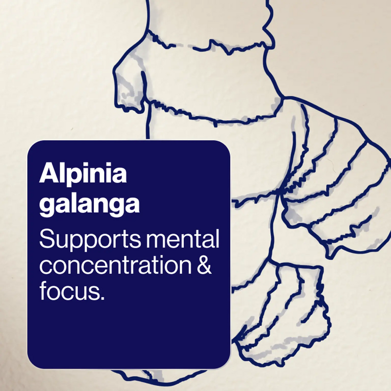 Cognition Performance+