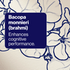 Cognition Performance+