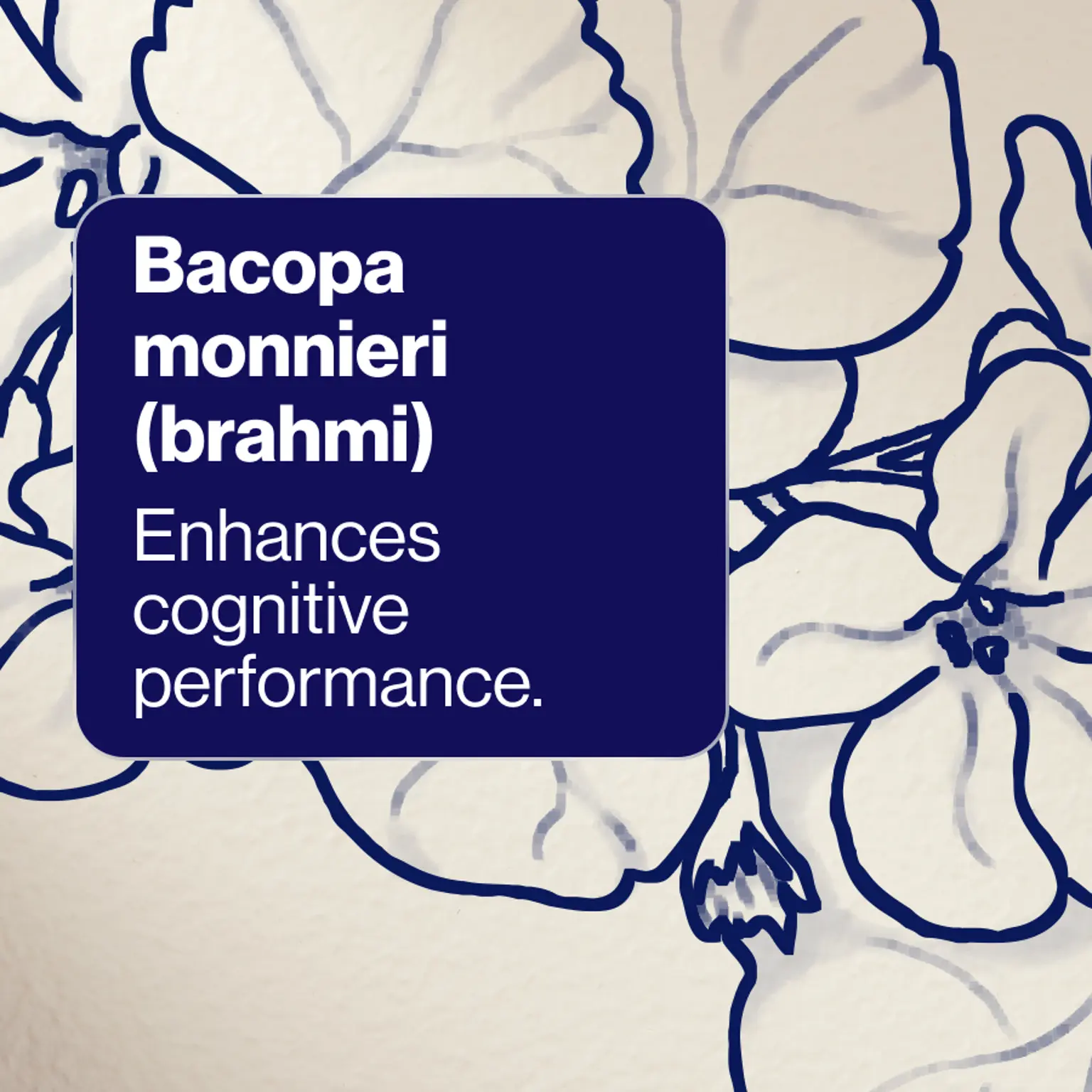 Cognition Performance+