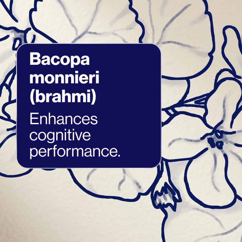 Cognition Performance+